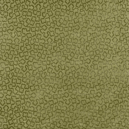 AW9251 Anna French Ivy Fabric