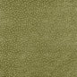 AW9251 Anna French Ivy Fabric