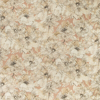 AYRLIES-17 AYRLIES BLUSH/NATURAL KRAVET COUTURE Fabrics Drapery Upholstery