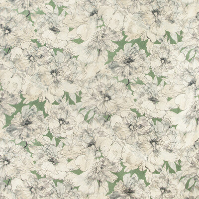 AYRLIES-3 AYRLIES JULEP KRAVET COUTURE Fabrics Drapery Upholstery