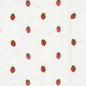 AZLE-1 STOUT AZLE 1 STRAWBERRY STRAWBERRY MULTIPURPOSE