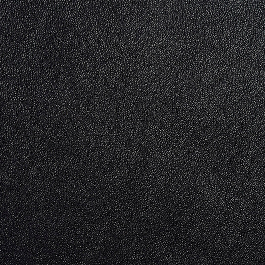 Allsport-Black Leather Grain,Plain & Solid Black Black Charlotte Fabrics Vinyl
