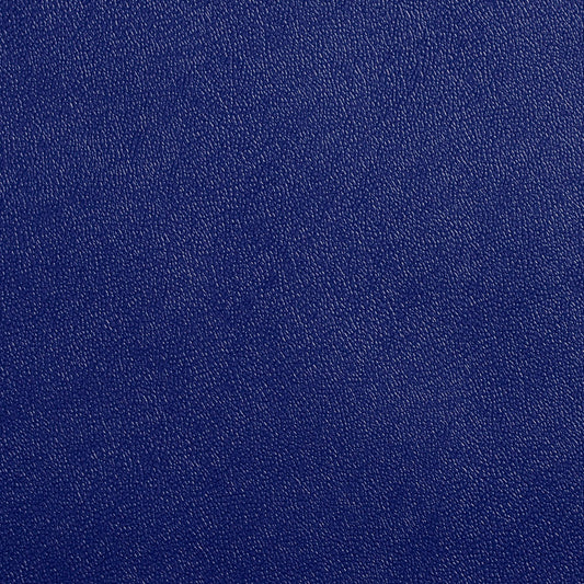 Allsport-Blue Leather Grain,Plain & Solid Blue Blue Charlotte Fabrics Vinyl