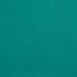 Allsport-Green Leather Grain,Plain & Solid Green Charlotte Fabrics 4-Way Stretch,Vinyl