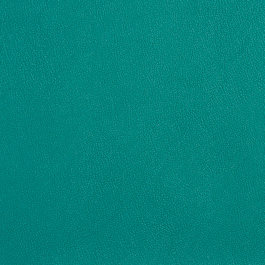 Allsport-Green Leather Grain,Plain & Solid Green Green Charlotte Fabrics Vinyl
