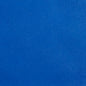 Allsport-Royal Leather Grain,Plain & Solid Blue Charlotte Fabrics 4-Way Stretch,Vinyl