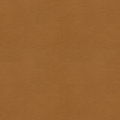 BALARA-16 KRAVET CONTRACT BALARA-16 KRAVET CONTRACT UPHOLSTERY