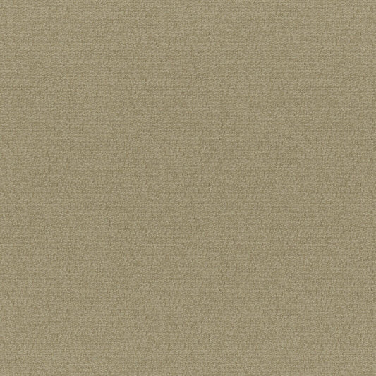 BDG213 Maxwell UPHOLSTERY SOLID/TEXTURES # 213 DUNE CG-NOUGAT