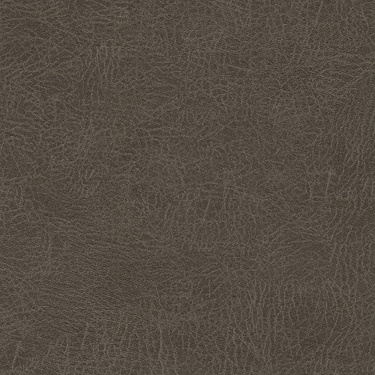 BDY135 Maxwell CONTRACT FABRIC # 135 TRUFFLE MO-COATEDFABRICS