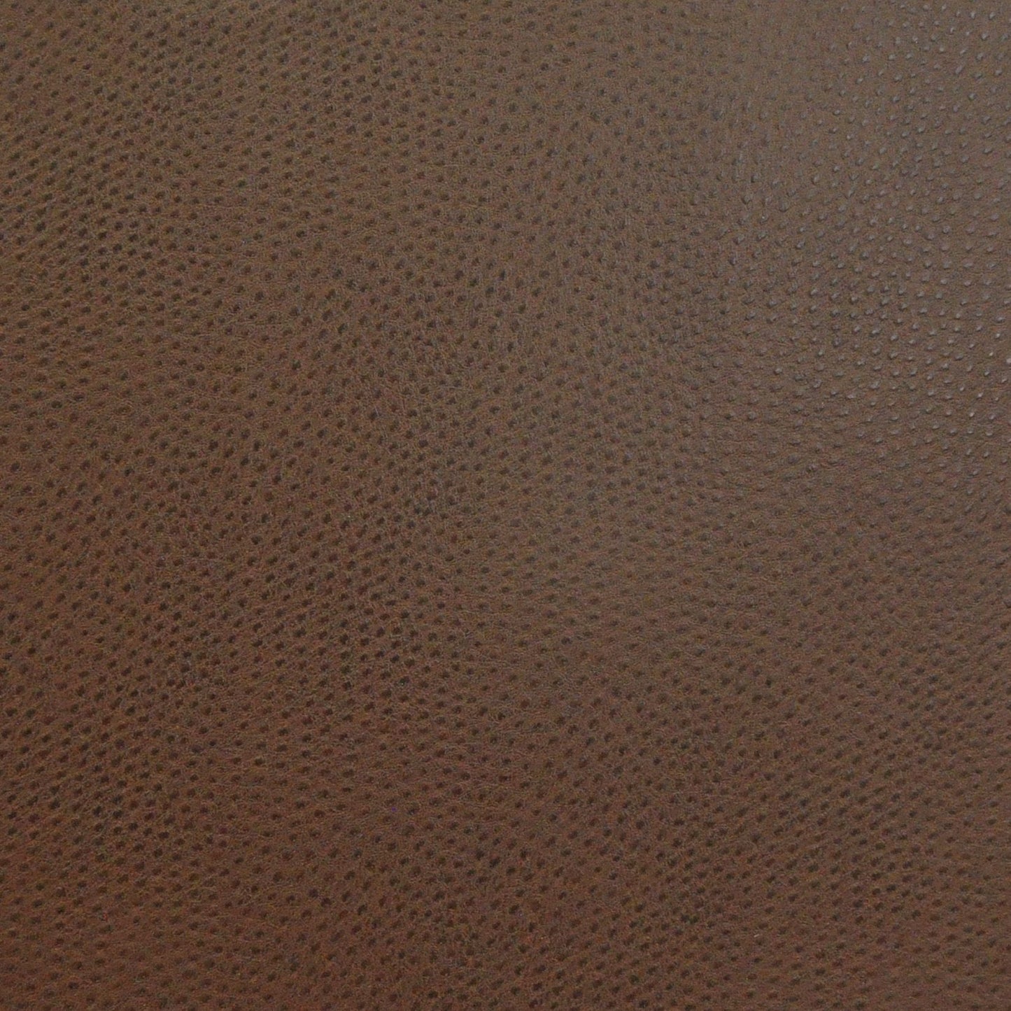 BEH719 Maxwell FAUX LEATHER # 719 FUDGE EASYRIDERVIII