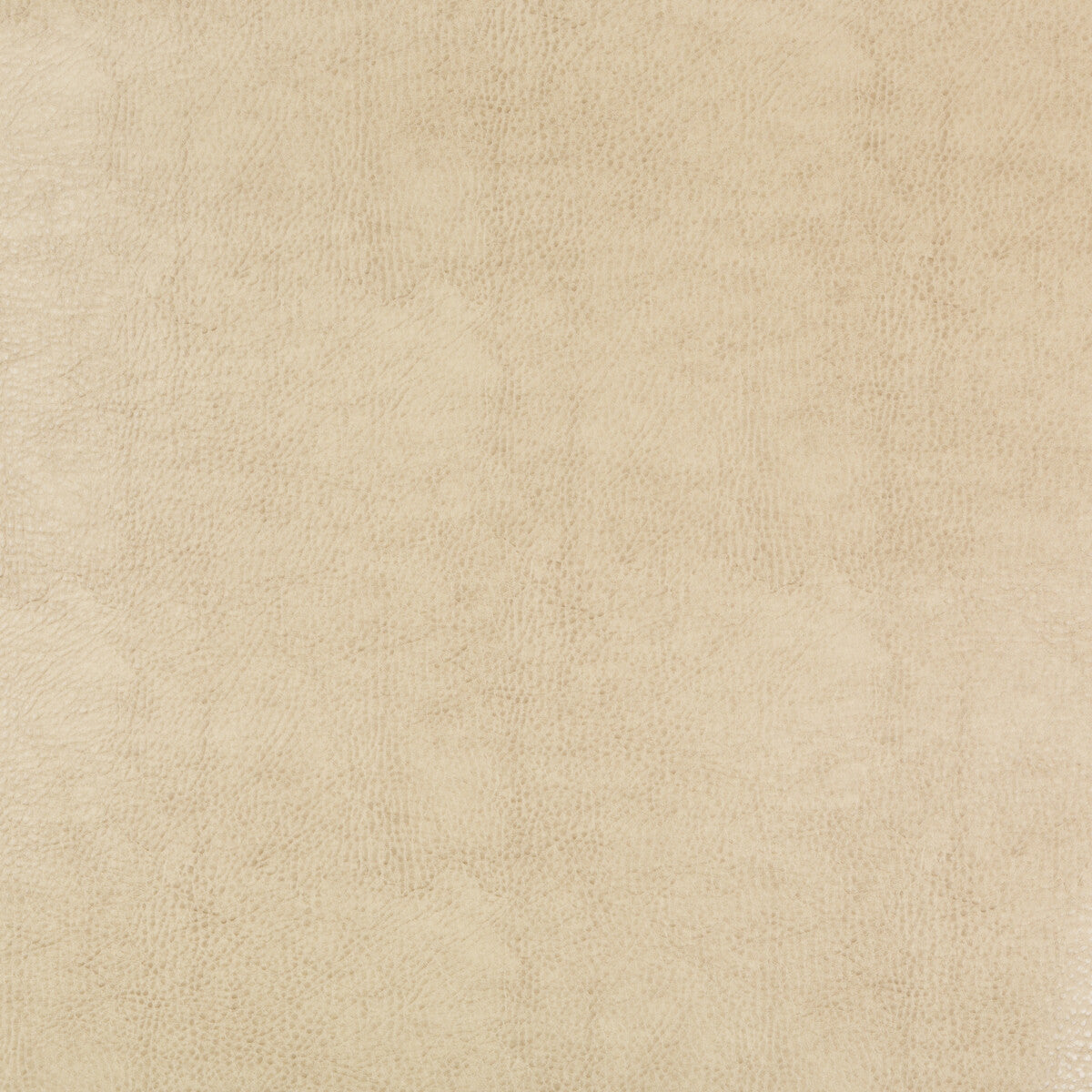 BEHOLDER-116 KRAVET DESIGN BEHOLDER-116 KRAVET DESIGN Fabric
