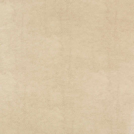 BEHOLDER-116 KRAVET DESIGN BEHOLDER-116 KRAVET DESIGN Fabric