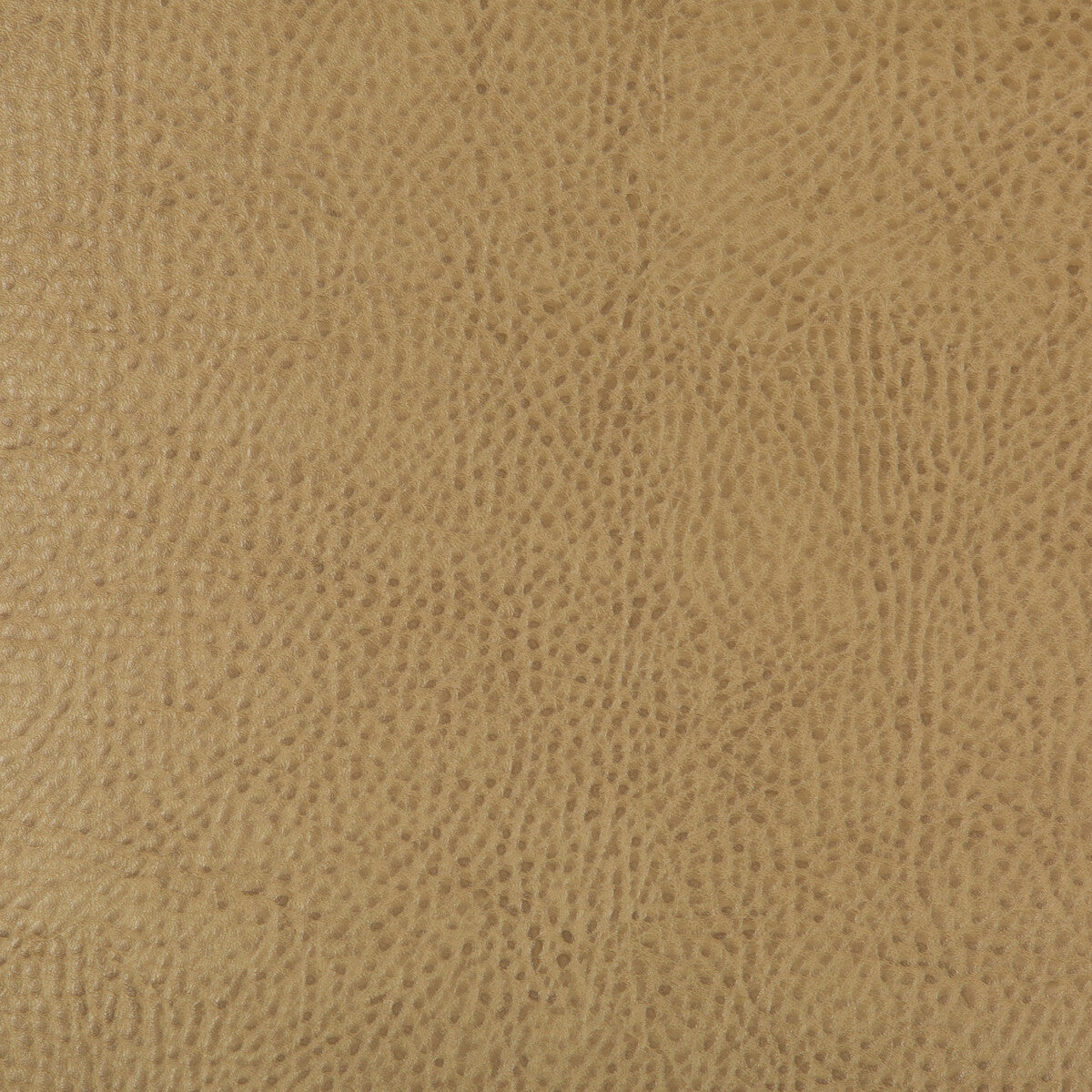BEHOLDER-16 KRAVET DESIGN BEHOLDER-16 KRAVET DESIGN Fabric