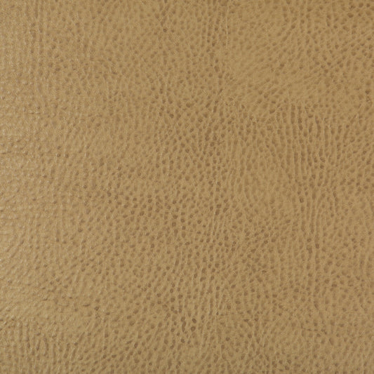 BEHOLDER-16 KRAVET DESIGN BEHOLDER-16 KRAVET DESIGN Fabric