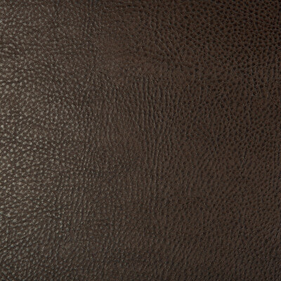 BEHOLDER-6 KRAVET DESIGN BEHOLDER-6 KRAVET DESIGN UPHOLSTERY