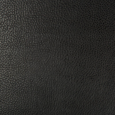 BEHOLDER-8 KRAVET DESIGN BEHOLDER-8 KRAVET DESIGN UPHOLSTERY