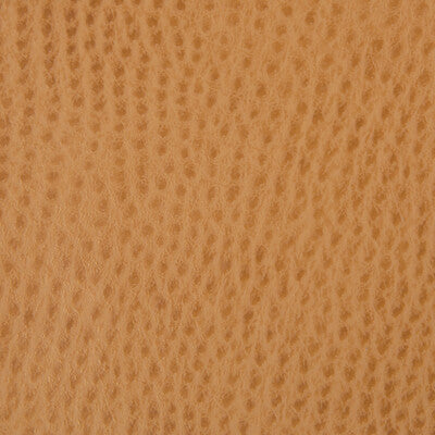 BELUS-4 KRAVET CONTRACT BELUS-4 KRAVET CONTRACT UPHOLSTERY
