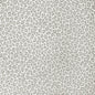 BENGALI-1101 KRAVET BASICS BENGALI-1101 KRAVET BASICS Fabrics Drapery Upholstery