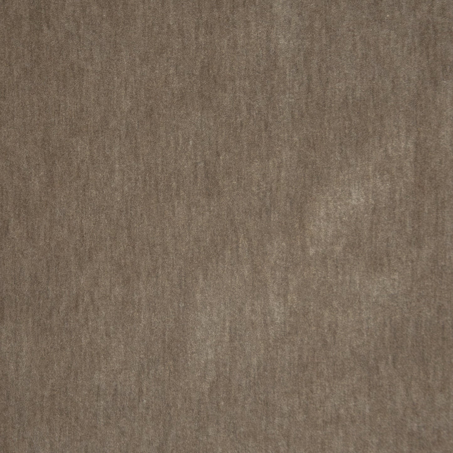 BEP101 Telafina VELVET SOLID/TEXTURE # 101 GREYHOUND TELAXVI