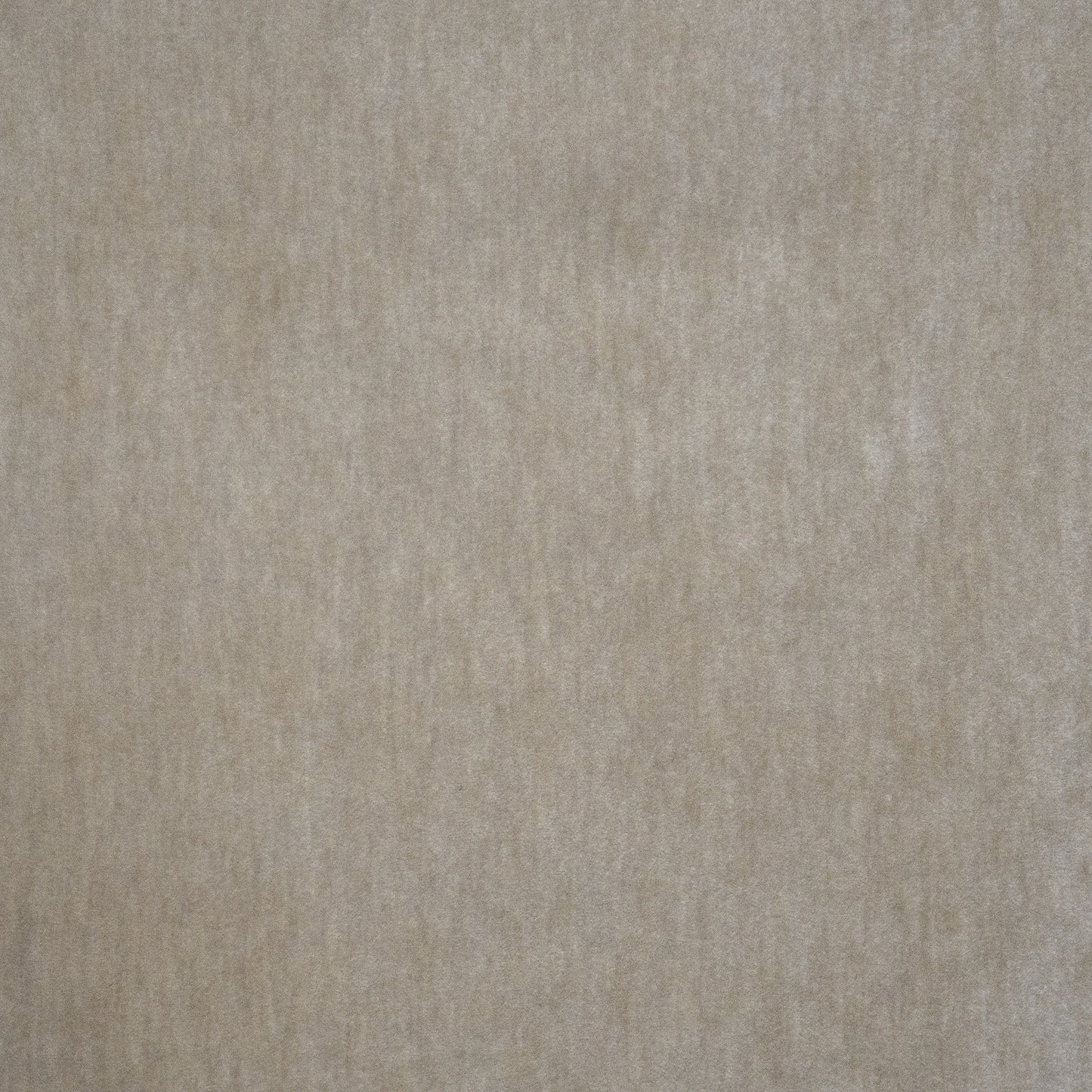BEP116 Telafina VELVET SOLID/TEXTURE # 116 DOVE TELAXVI