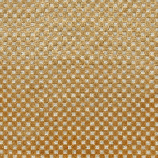 BEQ636 Maxwell VELVET PATTERN # 636 MIDAS PCVELVETS