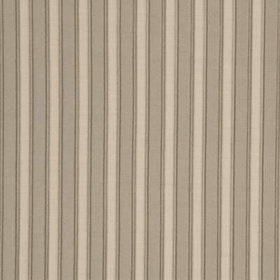 BF10138-105 PLEATED STRIPE NATURAL G P & J BAKER DRAPERY