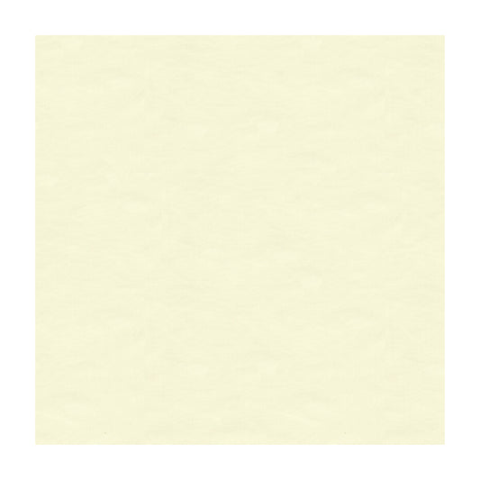 BF10528-104 SOHO SILK IVORY G P & J BAKER DRAPERY