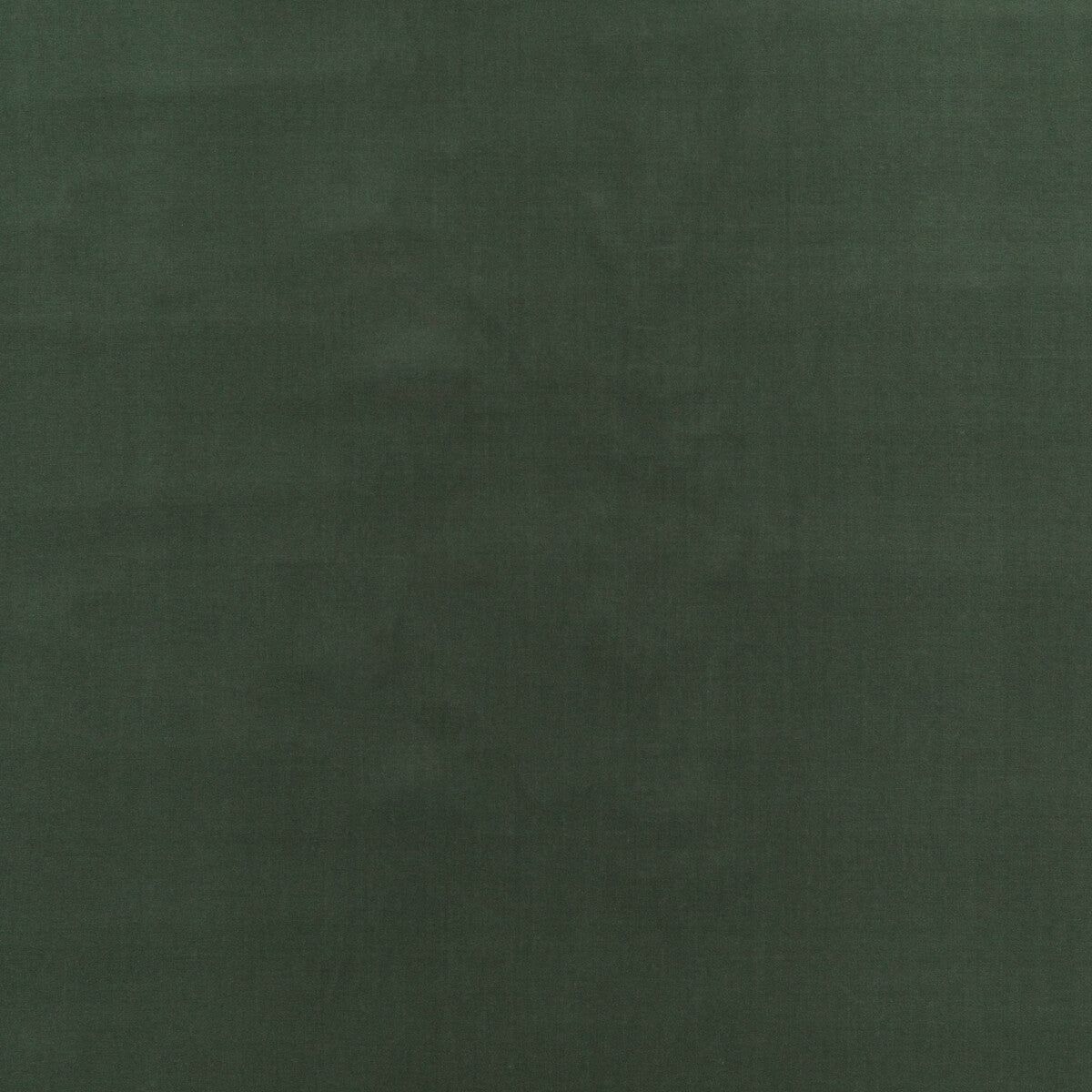 BF10838-773 BAKER HOUSE VELVET EUCALYPTUS G P & J BAKER Fabrics Drapery Upholstery