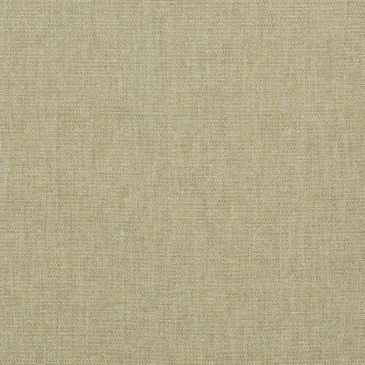 BF10956-778 PENTRIDGE LEAF G P & J BAKER Fabrics Drapery Upholstery