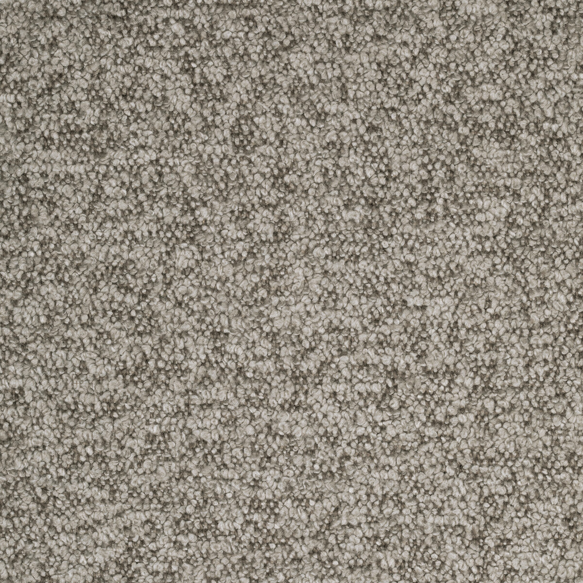 BF10965-240 BAKER HOUSE BOUCLE MOLE G P & J BAKER Fabrics Drapery Upholstery