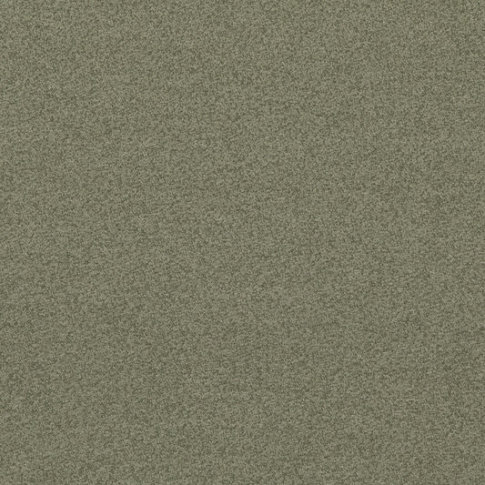 BF10965-790 BAKER HOUSE BOUCLE SAGE G P & J BAKER Fabrics Drapery Upholstery