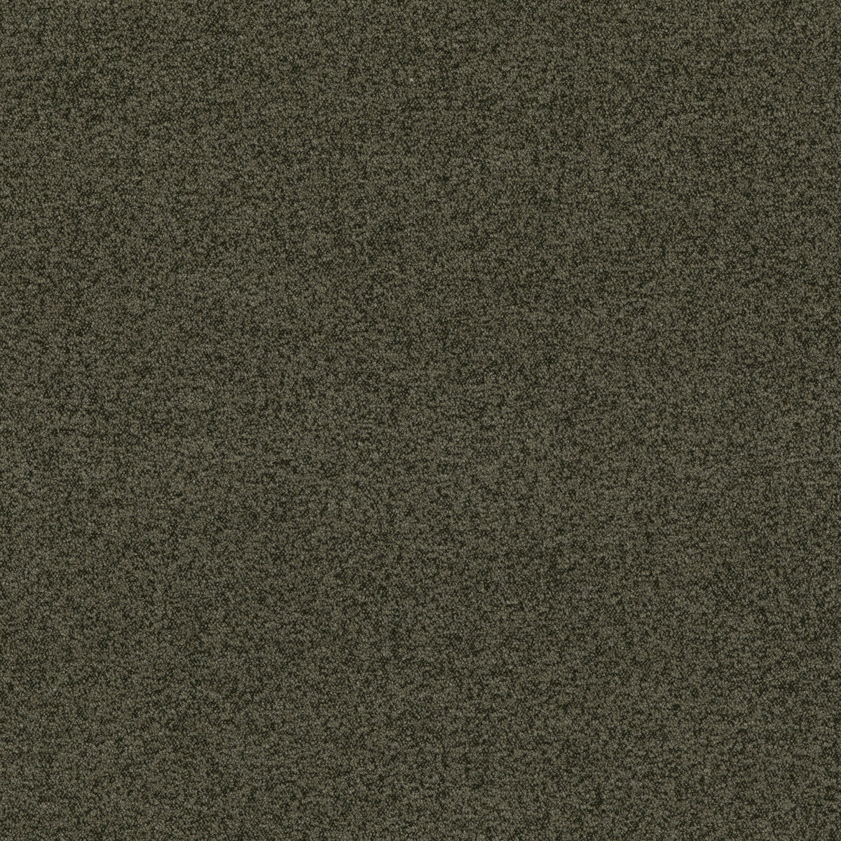 BF10965-794 BAKER HOUSE BOUCLE FOREST G P & J BAKER Fabrics Drapery Upholstery