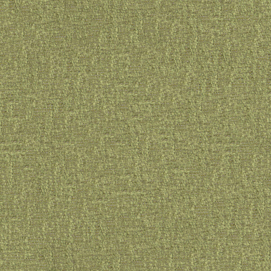 BFA823 Maxwell CHENILLES SOLIDS/TEXTURES # 823 DILL CURLEDUPX