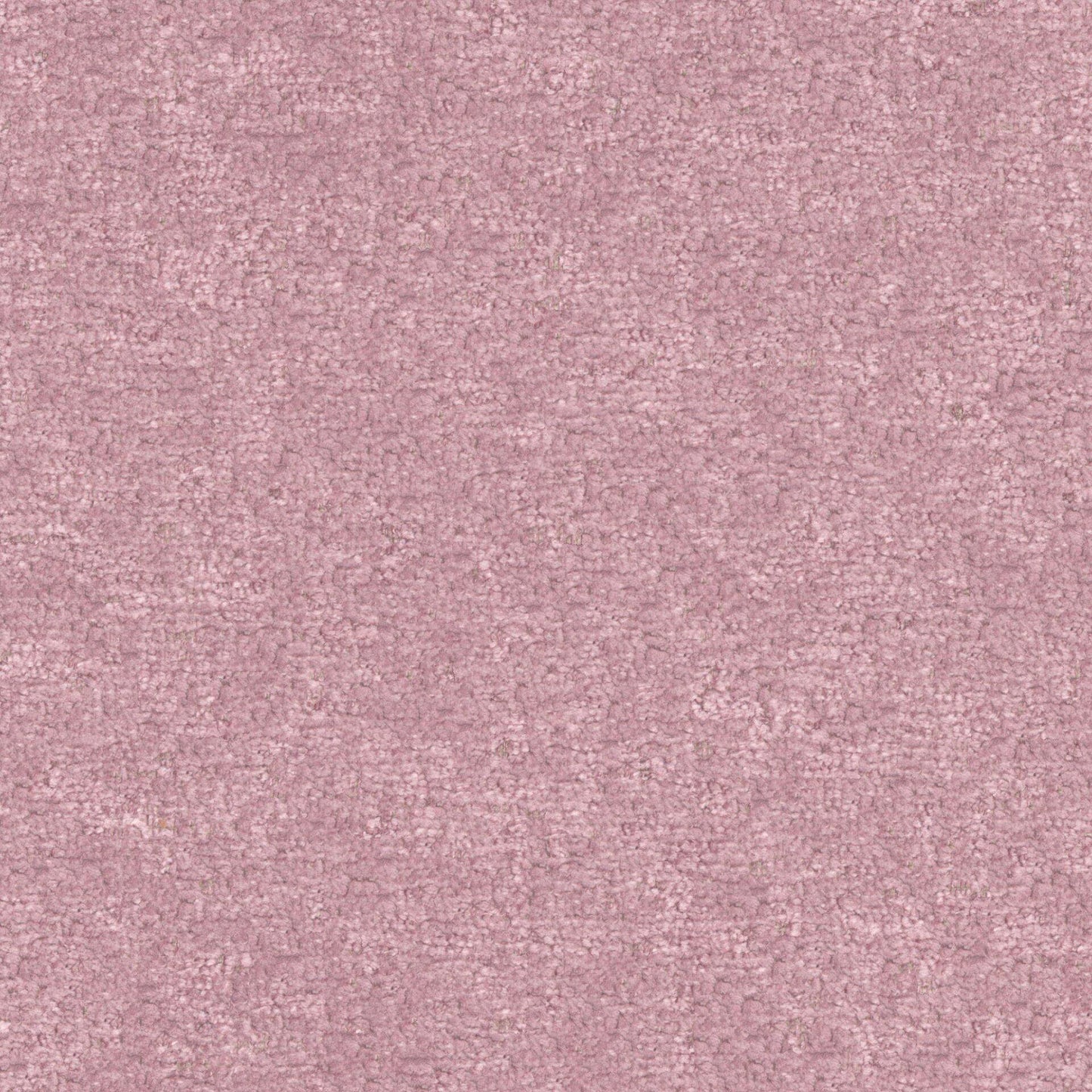 BFA828 Maxwell CHENILLES SOLIDS/TEXTURES # 828 BOUDOIR CURLEDUPX