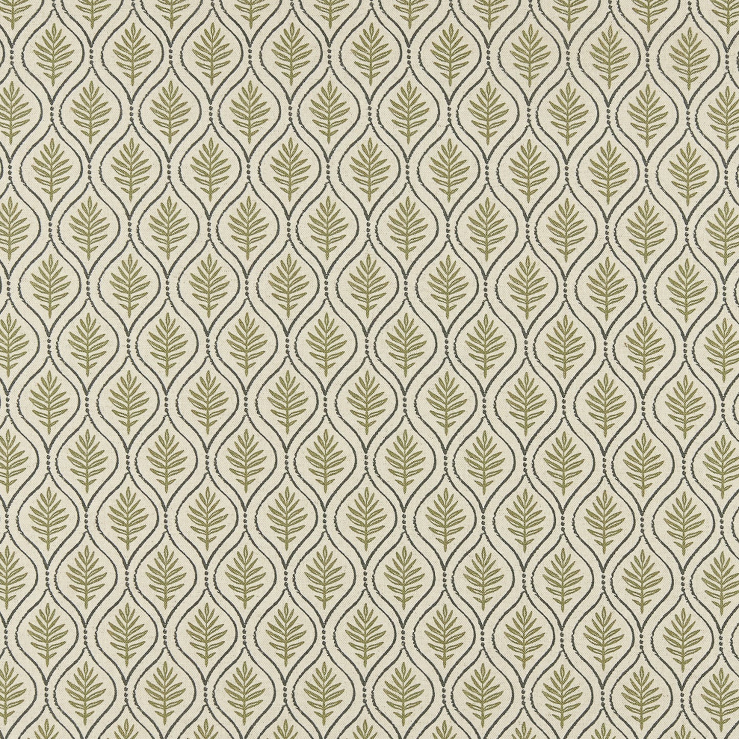 BFF505 Maxwell PRINTS # 505 OLIVE PRINTGALLERYIII