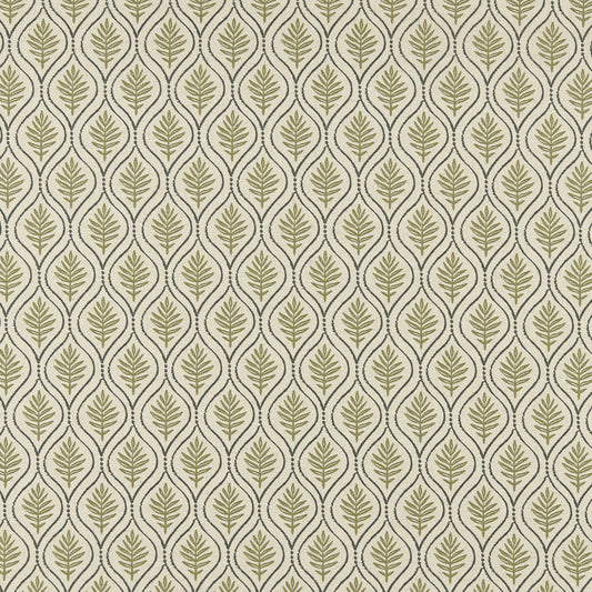 BFF505 Maxwell PRINTS # 505 OLIVE PRINTGALLERYIII