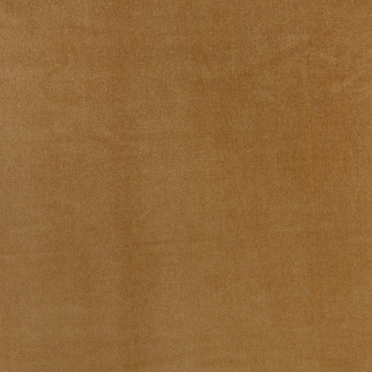 BFN705 Telafina VELVET SOLID/TEXTURE # 705 BUTTERSCOTCH TELAXVII