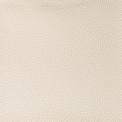 BOONE-116 BOONE CONCH KRAVET CONTRACT UPHOLSTERY
