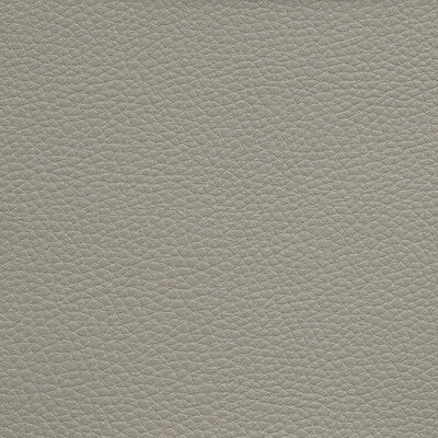 BOONE-1611 BOONE CHINCHILLA KRAVET CONTRACT UPHOLSTERY