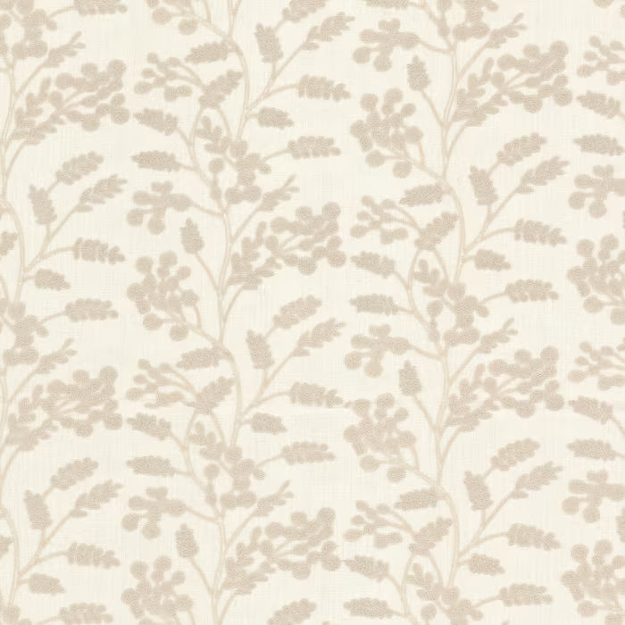 BOTT-1 STOUT BOTTEGA 1 BIRCH BIRCH MULTIPURPOSE