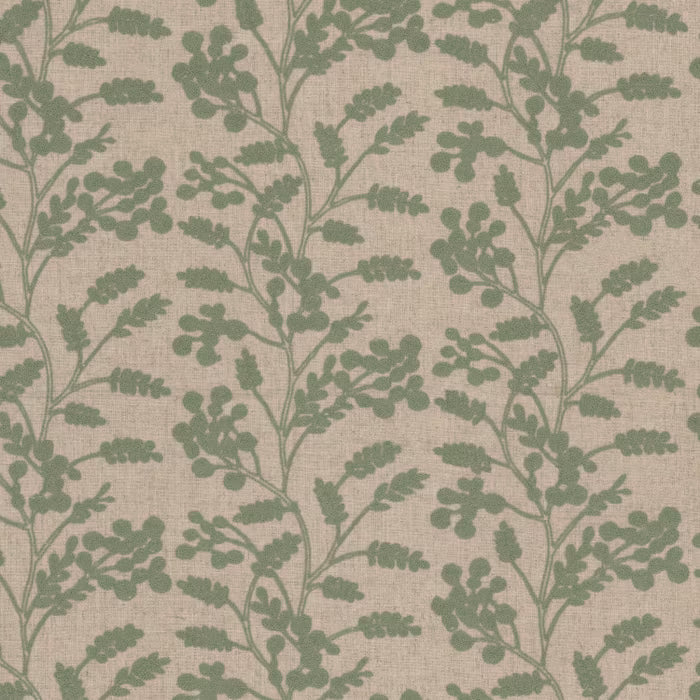 BOTT-2 STOUT BOTTEGA 2 SAGE SAGE MULTIPURPOSE