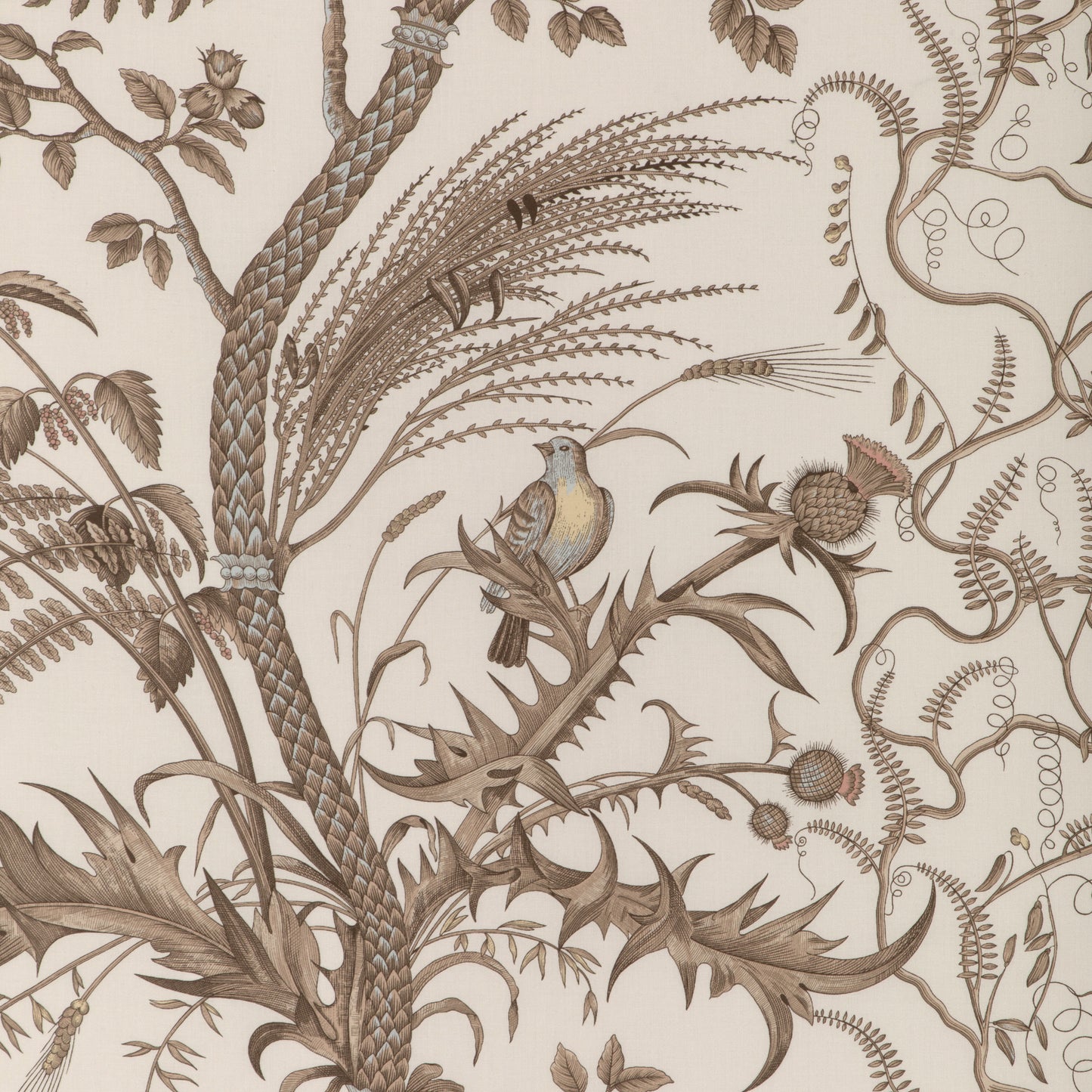 BR-79431-068 BIRD AND THISTLE COTTON PRINT BEIGE BRUNSCHWIG & FILS