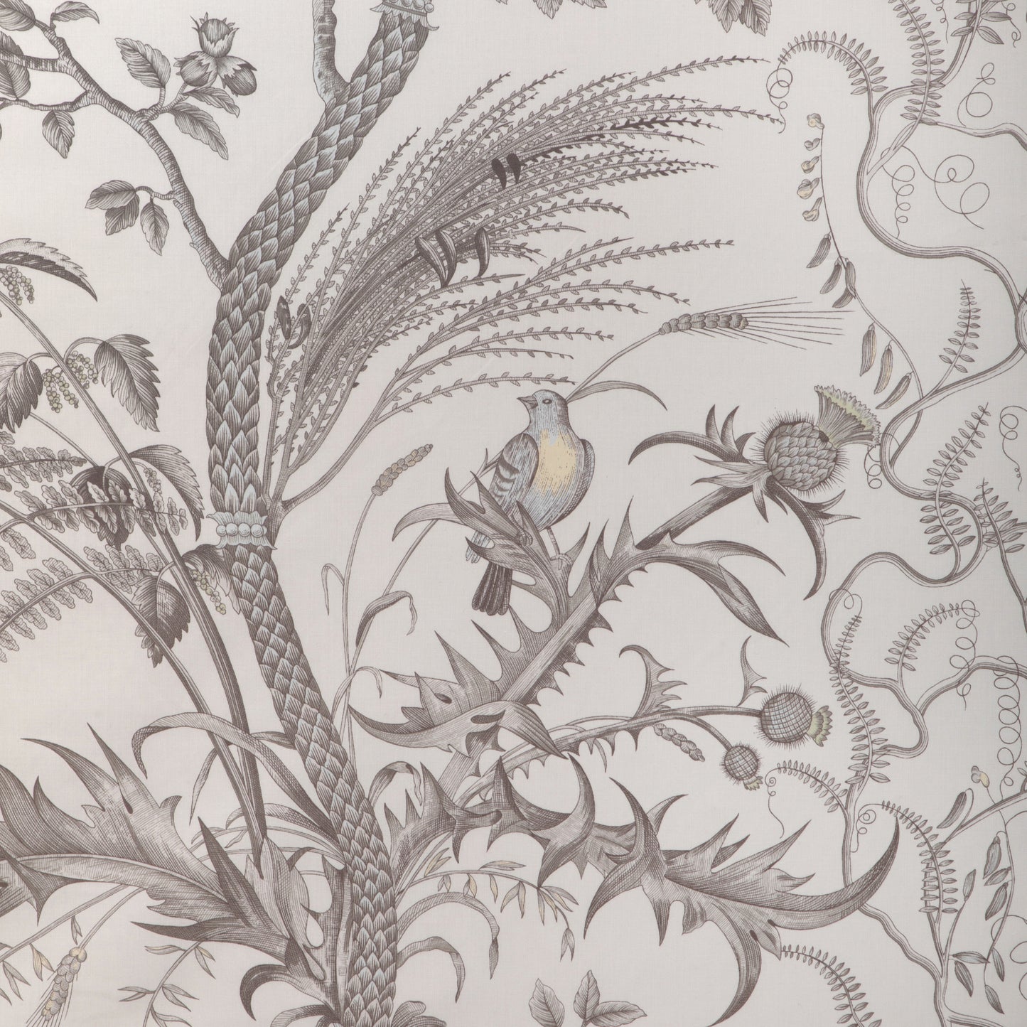 BR-79431-11 BIRD AND THISTLE COTTON PRINT GRAY BRUNSCHWIG & FILS