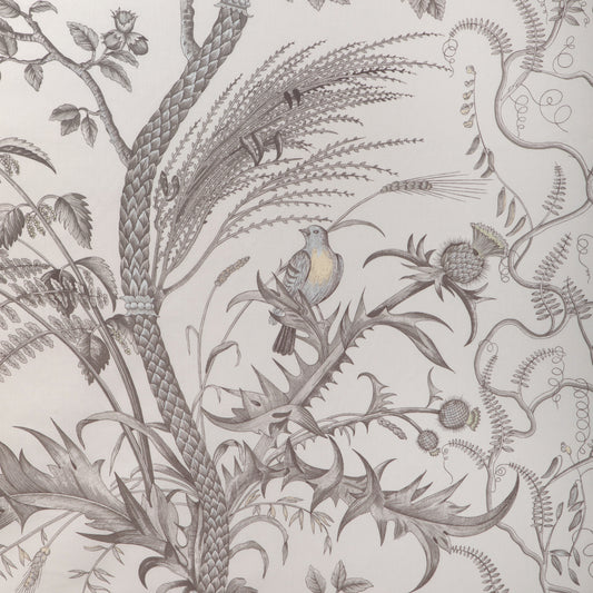 BR-79431-11 BIRD AND THISTLE COTTON PRINT GRAY BRUNSCHWIG & FILS