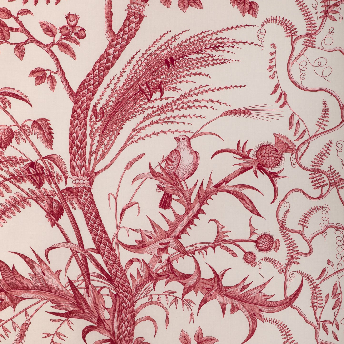 BR-79431-166 BIRD AND THISTLE COTTON PRINT RED BRUNSCHWIG & FILS