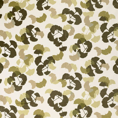 BRIDGES-30 KRAVET BASICS BRIDGES-30 KRAVET BASICS Fabrics Drapery Upholstery