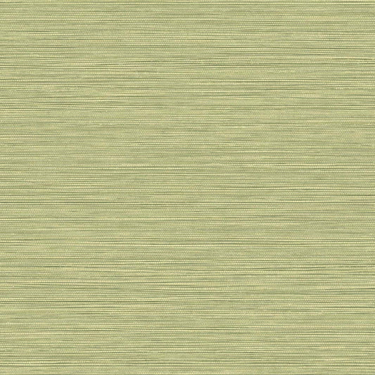 BV30104 Seabrook Designs Texture Gallery Wallpaper Grasslands Lime Moss