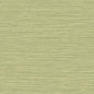 BV30104 Seabrook Designs Texture Gallery Wallpaper Grasslands Lime Moss