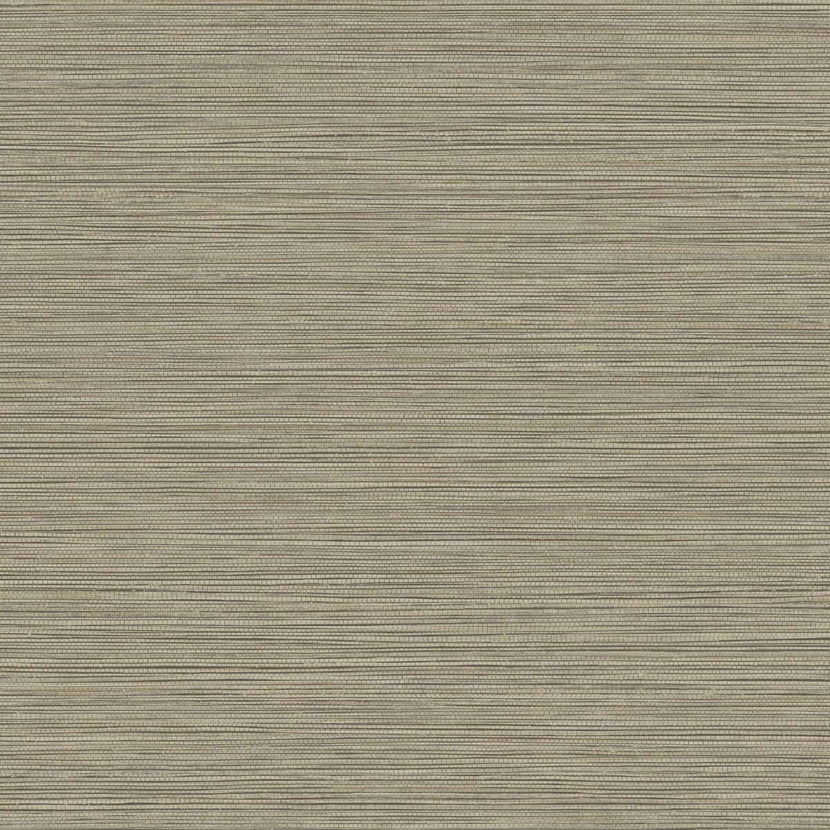 BV30106 Seabrook Designs Texture Gallery Wallpaper Grasslands Warm Stone