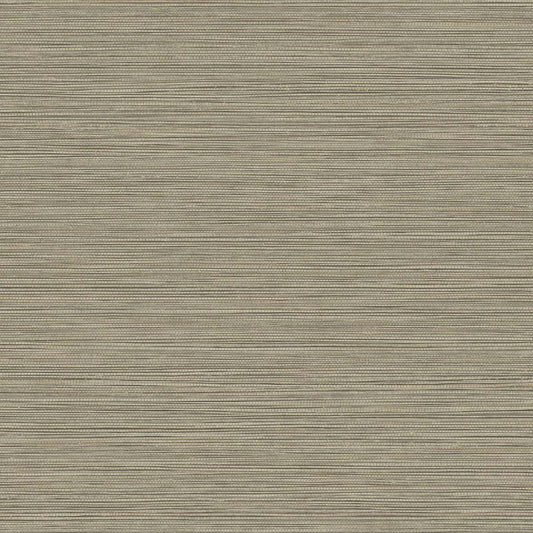 BV30106 Seabrook Designs Texture Gallery Wallpaper Grasslands Warm Stone